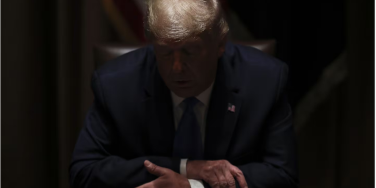 Trumpizmi, cunami digjital që ka përmbysur hierarkitë