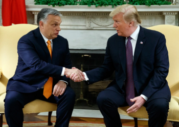 Trump nuk i harron miqtë, Orban: Do të kemi paketë bashkëpunimi ekonomik 