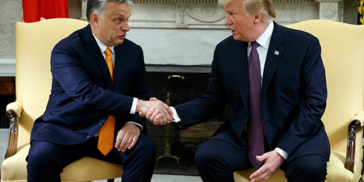 Trump nuk i harron miqtë, Orban: Do të kemi paketë bashkëpunimi ekonomik 