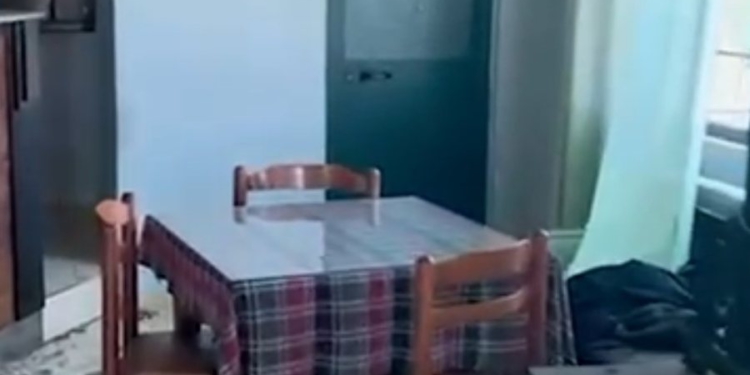 Brenda ditës vodhi në një lokal dhe një makinë në Tiranë, vihet në pranga 47-vjeçari