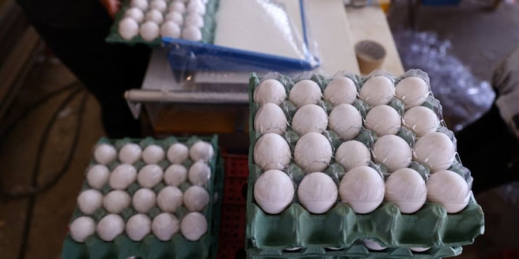 SHBA “harron” Groenlandën, kërkesë zyrtare për vezë Danimarkës