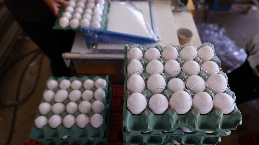 SHBA “harron” Groenlandën, kërkesë zyrtare për vezë Danimarkës