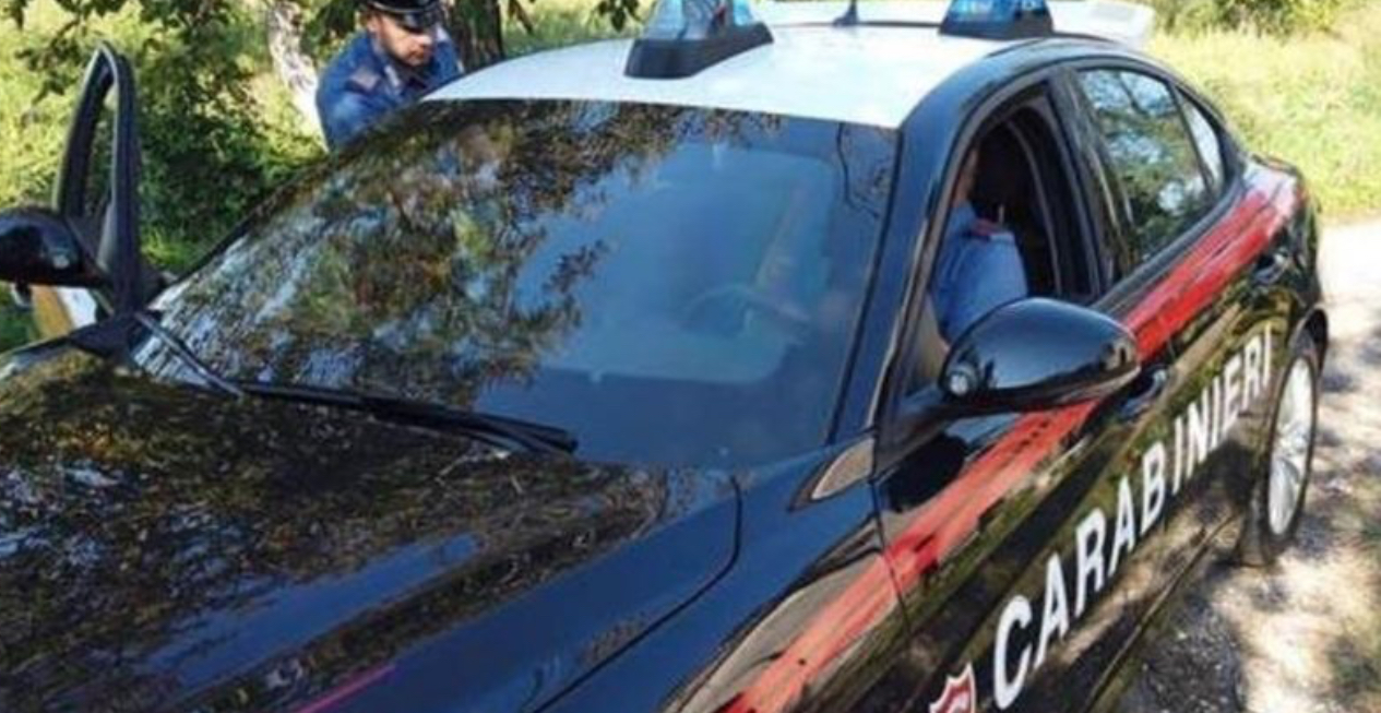 E fshihte kokainën në trungun e lajthive, arrestohet 35-vjeçari shqiptari në Itali
