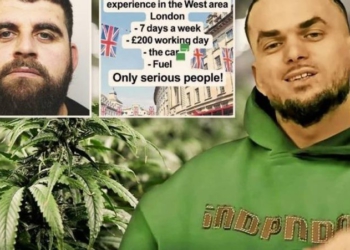 Shqiptarët në Angli hapin në TikTok “qendër punësimi”, The Sun: Rekrutojnë shitës dhe transportues droge