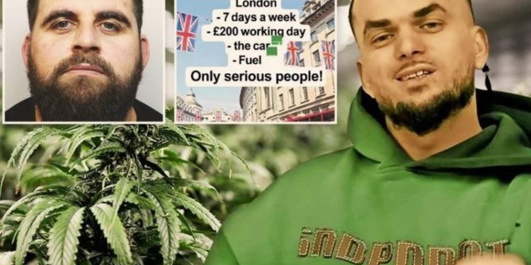 Shqiptarët në Angli hapin në TikTok “qendër punësimi”, The Sun: Rekrutojnë shitës dhe transportues droge