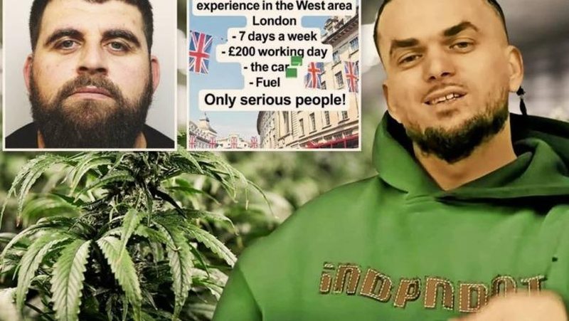 Shqiptarët në Angli hapin në TikTok “qendër punësimi”, The Sun: Rekrutojnë shitës dhe transportues droge