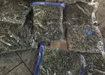U kap me mbi 8 kg kanabis në makinë dhe armë pa leje, arrestohet 56-vjeçari në Tiranë