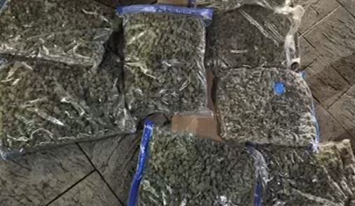 U kap me mbi 8 kg kanabis në makinë dhe armë pa leje, arrestohet 56-vjeçari në Tiranë