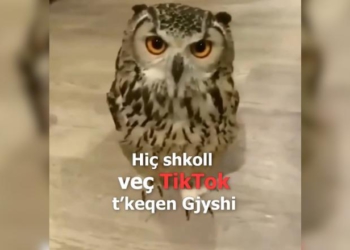 I premtoi një 7-vjeçari se do t’i hapë TikTok-un më 12 maj, Rama ironizon Berishën: Hiç shkoll t’keqen gjyshi