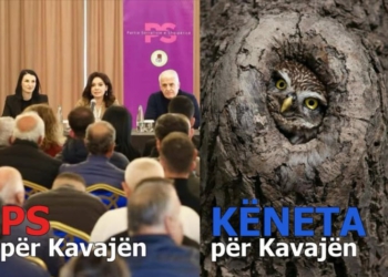 11 Maji/ Rama ironizon kandidatët e opozitës për Kavajën: Bufi bashkë me një dynja kujtuan se këneta u bë kos