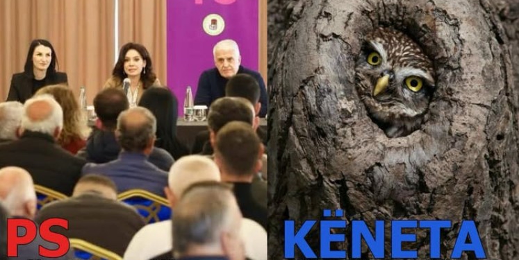 11 Maji/ Rama ironizon kandidatët e opozitës për Kavajën: Bufi bashkë me një dynja kujtuan se këneta u bë kos