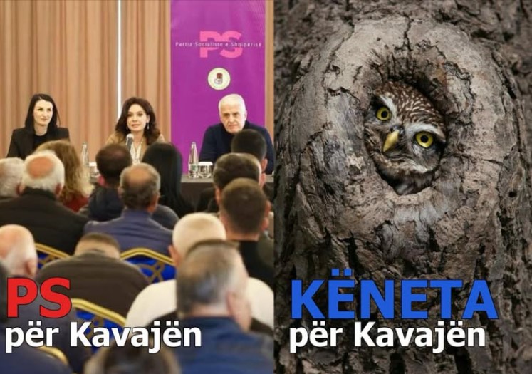 11 Maji/ Rama ironizon kandidatët e opozitës për Kavajën: Bufi bashkë me një dynja kujtuan se këneta u bë kos