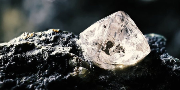 Kur fatin ta vjedhin! Dy të rinj gjetën diamantin 6,5 milionë dollarë, por…
