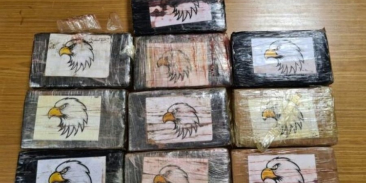 Me 10 kg kokainë në “Fiat Panda”, arrestohet shqiptari në Itali! Policia e pikasi kur bëri…