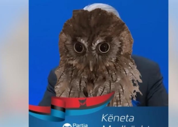 “E albania kurthi më i keq i kohërave”, Rama ironizon deklaratën e Berishës me videon e bufit: S’ka derman jo