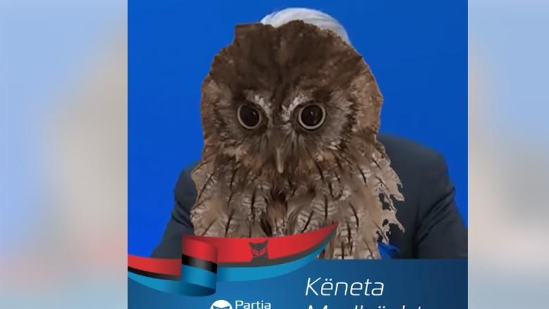 “E albania kurthi më i keq i kohërave”, Rama ironizon deklaratën e Berishës me videon e bufit: S’ka derman jo
