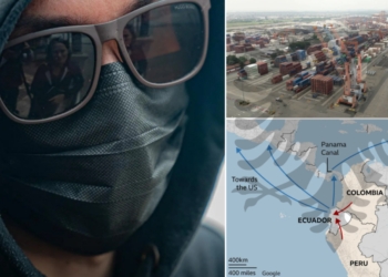 “Lër punën ose vdis”, rruga kryesore e trafikut të kokainës për në Europë. Po roli i shqiptarëve?