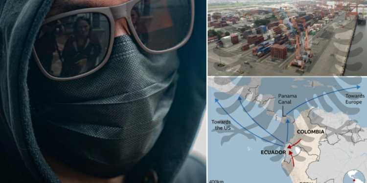 “Lër punën ose vdis”, rruga kryesore e trafikut të kokainës për në Europë. Po roli i shqiptarëve?