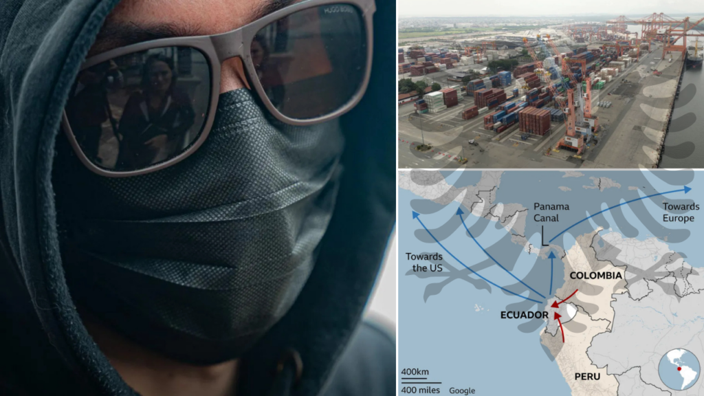 “Lër punën ose vdis”, rruga kryesore e trafikut të kokainës për në Europë. Po roli i shqiptarëve?