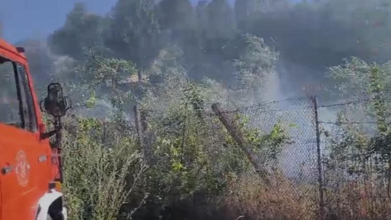 Zjarr në Lazarat, flakët rrezikojnë banesat