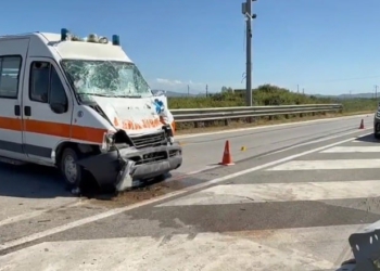 Aksident i rëndë në aksin Fier-Lushnje, kamioni përplase me ambulancën, plagosen katër persona. Dy prej tyre…