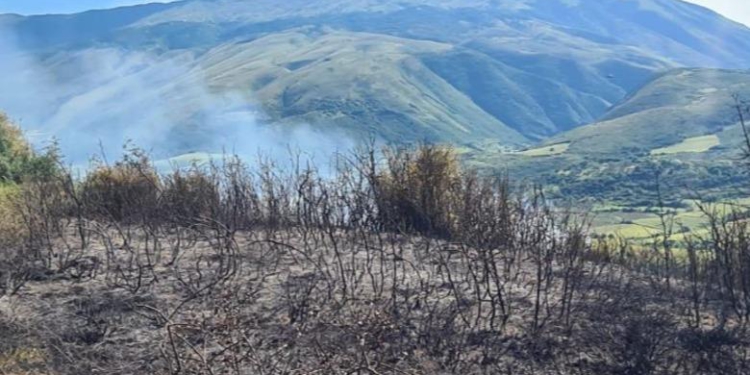 Marrin flakë kullotat në Memaliaj, dyshohet për zjarrvënie të qëllimshme nga një bari