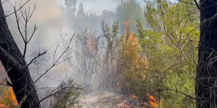 Riaktivizohen vatrat e zjarrit në Darëzezë/ Rreth 10 ha në flakë, nis ndërhyrja nga ajri