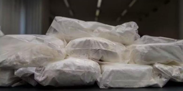 Me 9 kg kokainë të pastër në makinë, 23-vjeçari shqiptar arrestohet në kufirin zviceran, vlera e drogës mbi 1 mln euro