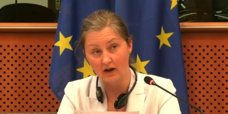 Shefja e Divizionit të BE-së për Ballkanin Perëndimor: Shqipëria pararojë në procesin e integrimit europian! SPAK rol kyç