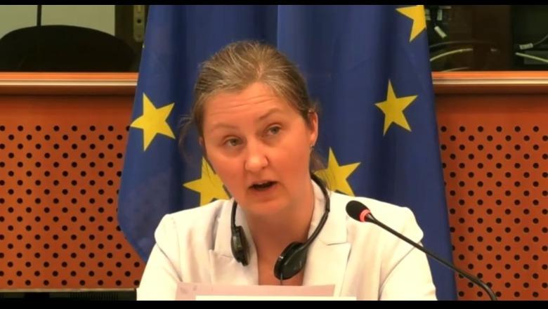 Shefja e Divizionit të BE-së për Ballkanin Perëndimor: Shqipëria pararojë në procesin e integrimit europian! SPAK rol kyç
