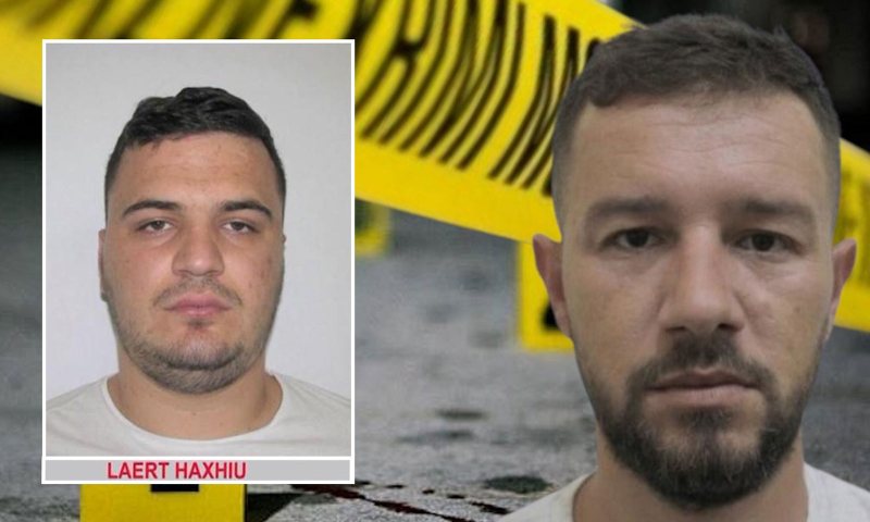 Dëshmia e Tafanit: Albi Bashaliu u vra me kërkesë të “Lilit” dhe Enrikos, Laerti ua bëri si nder! Për motivin më thanë se…