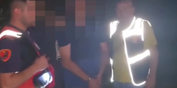 Kapen në flagrancë duke kultivuar kanabis në parcela, arrestohen dy persona