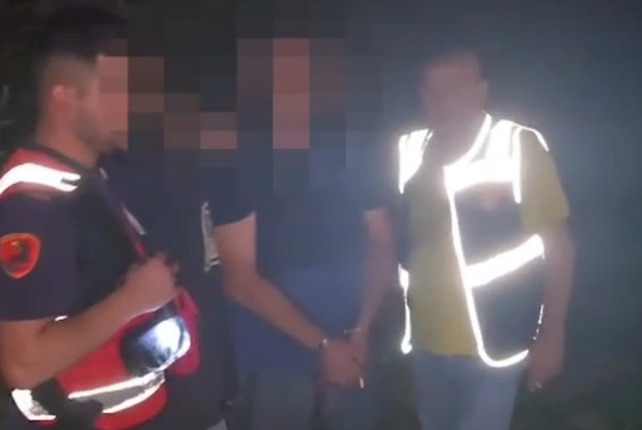 Kapen në flagrancë duke kultivuar kanabis në parcela, arrestohen dy persona