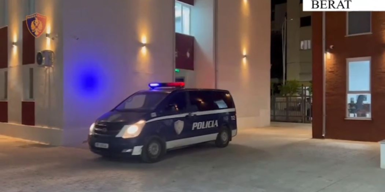 Shisnin lëndë narkotike në Berat, arrestohen dy persona, gjenden 330 doza kanabasi