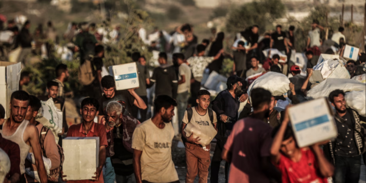 “Skena post-apokaliptike” në Gaza, mjekët përballen me dhunën mes luftës së bandave për ndihmat