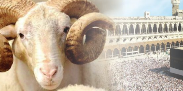 Më pak bagëti e më shumë sakrificë! Kurban Bajrami i këtij viti reflekton sfidat e një bote në krizë
