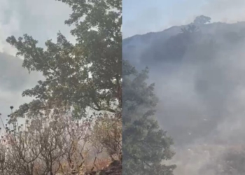 Vijon prej 30 orësh zjarri në Pilur të Himarës, flakët drejt Porto Palermos
