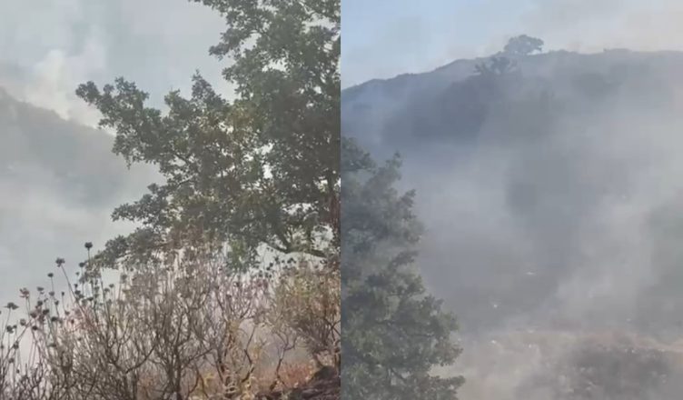 Vijon prej 30 orësh zjarri në Pilur të Himarës, flakët drejt Porto Palermos