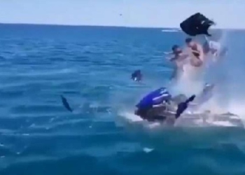 Kreu manovra të rrezikshme me jet ski, një tjetër turist përfundon në spital në gjendje të rëndë