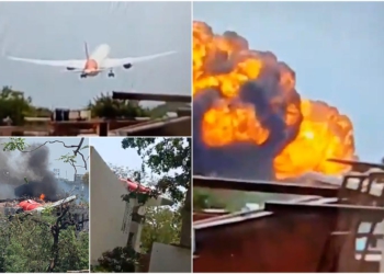 Nga zogjtë te gabimi i pilotit, gjashtë pista hetimi që janë ngritur për rënien e avionit në Indi