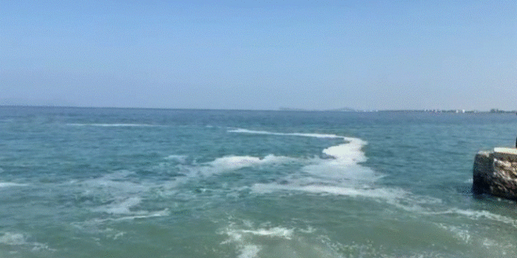 Ndotet vija bregdetare në Vlorë nga ‘Rrapi’ tek vilat, pushuesit kërkojnë ndërhyrje urgjente, dyshohet për…