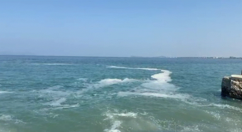 Ndotet vija bregdetare në Vlorë nga ‘Rrapi’ tek vilat, pushuesit kërkojnë ndërhyrje urgjente, dyshohet për…