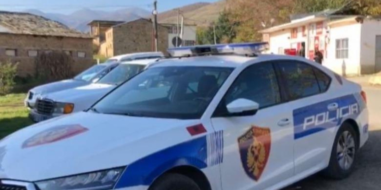 Sherr mes disa personave në një lokal në Pogradec, dy prej tyre përfundojnë në spital nga goditjet me gota
