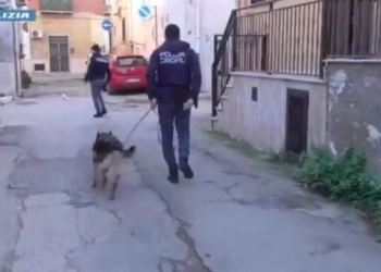 I “tradhtoi” GPS/ Zbulohet emri i shqiptarit të arrestuar një ditë më parë në Itali që furnizonte me drogë zonën e Puglias
