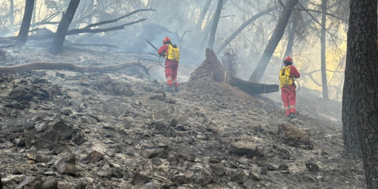 Situata e zjarreve, “Mbrojtja”: Janë raportuar shtatë vatra, dy prej tyre ende aktive