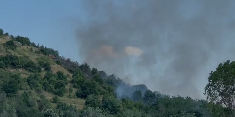 Zjarr afër ish-repartit ushtarak të tankeve në Maliq, shkak temperaturat e larta