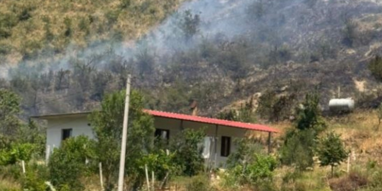 Zjarri shkrumbon 3 hektarë kullota në Gjirokastër, rrezikohet një banesë në fshatin Palokastër