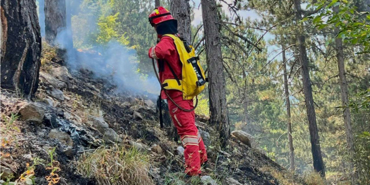 Situata me zjarret/ Ministria e Mbrojtjes: Janë raportuar 7 vatra zjarri, 2 ende aktive