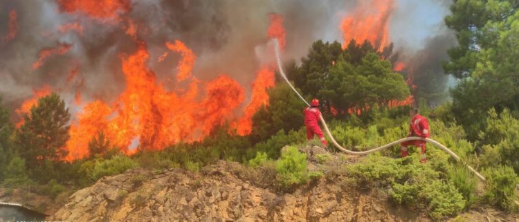 Situata e zjarreve, Ministria e Mbrojtjes jep të dhënat: 18 vatra të shuara në 24 orë