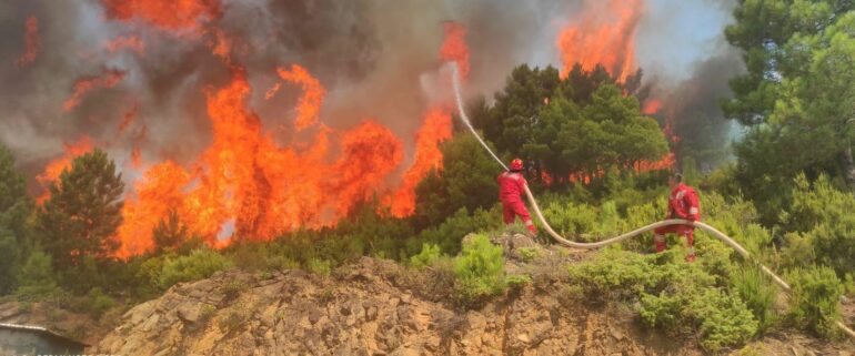 Situata e zjarreve, Ministria e Mbrojtjes jep të dhënat: 18 vatra të shuara në 24 orë